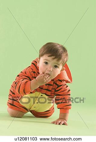 Baby boy wearing a tiger costume View Large Photo Image Stock Image - Baby boy wearing a tiger costume. Fotosearch