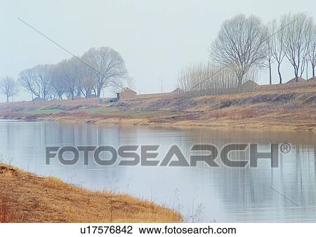 Bare Tree, Clear Sky, Coast, Day, Dry View Large Photo Image Stock Image - Bare Tree, Clear Sky, Coast, Day, Dry. Fotosearch