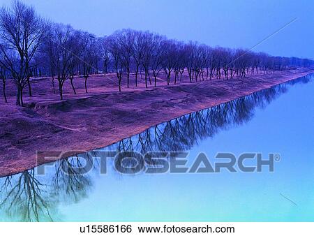 Stock Photograph - Bare Tree, Plant, Nature, Blue, Clear Sky, Day. Fotosearch
