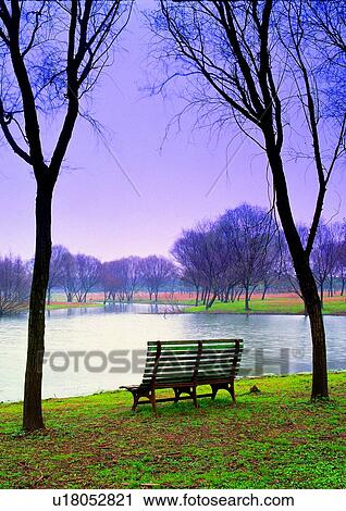 Stock Image - Bench, Plant, Scenics, Outdoor. Fotosearch