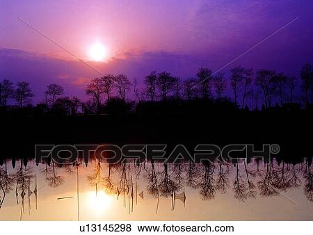 Coast, Reflection, Beautiful Scenes, Bare Tree, Outdoor, Glow View Large Photo Image Stock Photo - Coast, Reflection, Beautiful Scenes, Bare Tree, Outdoor, Glow. Fotosearch