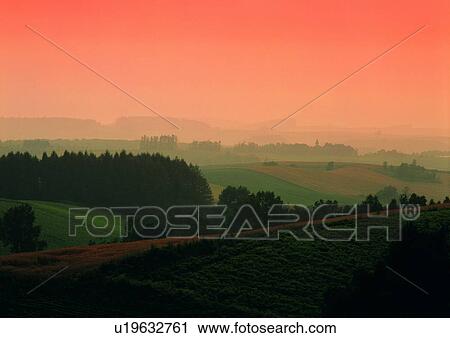 Day, Dusk, Field, Foggy, Glow View Large Photo Image Stock Image - Day, Dusk, Field, Foggy, Glow. Fotosearch