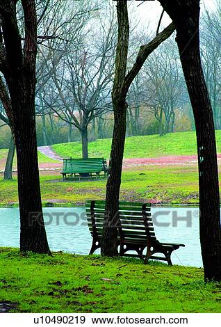 Image Dictionary, Coast, Plant, Scenics, Grass, Reflection View Large Photo Image Stock Photo - Image Dictionary, Coast, Plant, Scenics, Grass, Reflection. Fotosearch