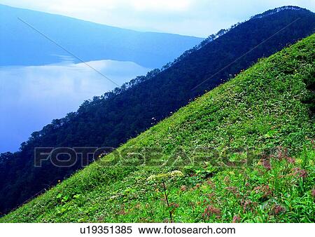 Stock Photography - Meadow, Grassland, Beauty In Nature, Weeds, Field, Grassy. Fotosearch