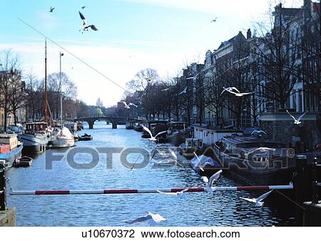 Stock Image - Pole, Bird, Yacht, Clear Sky, Beautiful Scenes, Lifestyles, Plant. Fotosearch