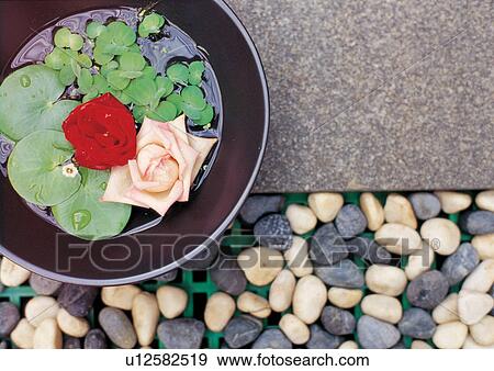 Bowl full of floating flowers View Large Photo Image Stock Photo - Bowl full of floating flowers. Fotosearch