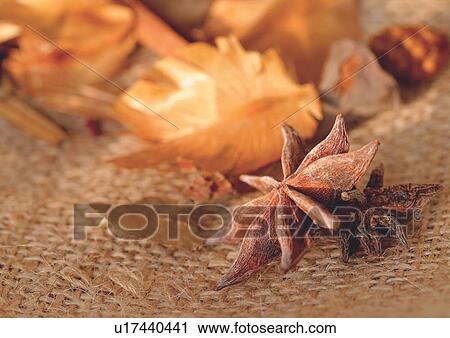 Dried treatment plants View Large Photo Image Stock Image - Dried treatment plants. Fotosearch
