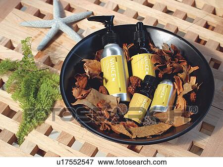 fragrance, day, wood, green View Large Photo Image Stock Photo - fragrance, day, wood, green. Fotosearch