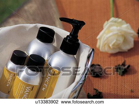 metal bucket, petals, flowering plant, nozzle, shine, blossoms View Large Photo Image Stock Image - metal bucket, petals, flowering plant, nozzle, shine, blossoms. Fotosearch