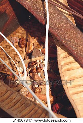 Stock Photo - nature, object, natural, wooden, cane matt, twigs. Fotosearch