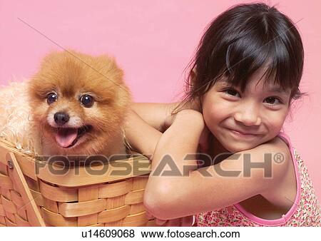 Stock Photo - basket, close-up, fluffy, indoors, companion, dogs. Fotosearch