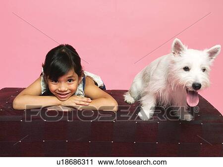 canine, close-up, cheerful, care, affectionate View Large Photo Image Stock Image - canine, close-up, cheerful, care, affectionate. Fotosearch