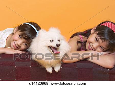 canine, close-up, cheerful, care, affectionate View Large Photo Image Stock Photo - canine, close-up, cheerful, care, affectionate. Fotosearch