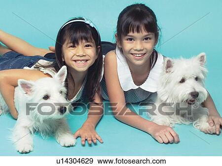 canine, close-up, cheerful, care, affectionate View Large Photo Image Stock Photo - canine, close-up, cheerful, care, affectionate. Fotosearch