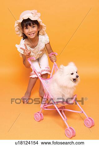 canine, fluffy, happy, domestic, sitting, dog View Large Photo Image Picture - canine, fluffy, happy, domestic, sitting, dog. Fotosearch