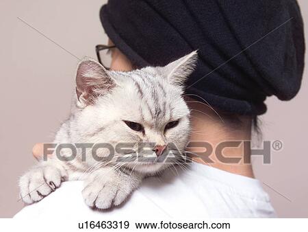 close-up, domesticated, looking, feline, companion, relaxed, domestic animal View Large Photo Image Stock Photo - close-up, domesticated, looking, feline, companion, relaxed, domestic animal. Fotosearch