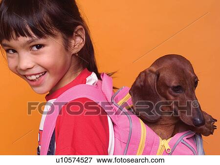 happiness, companion, affectionate, creature, carrying, canine View Large Photo Image Stock Photo - happiness, companion, affectionate, creature, carrying, canine. Fotosearch