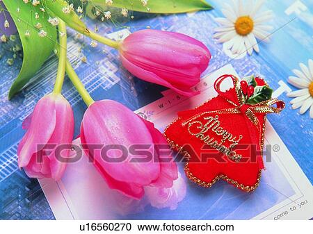 Stock Image - Christmas, card, sun flower, flower, holiday, decoration. Fotosearch
