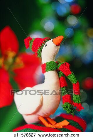 Stock Photo - , Christmas, hat, duck, holiday, scraf. Fotosearch