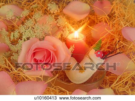 , decoration, holiday, Christmas, glass bowl, rose View Large Photo Image Stock Image - , decoration, holiday, Christmas, glass bowl, rose. Fotosearch