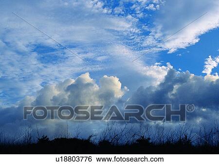 cloud, light, blue, daytime, white, scenery View Large Photo Image Stock Photograph - cloud, light, blue, daytime, white, scenery. Fotosearch