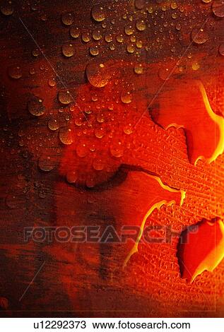 Close-up of a pattern of drops of water on a surface View Large Photo Image Stock Image - Close-up of a pattern of drops of water on a surface. Fotosearch