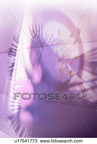 Close-up of a shadow superimposed on a lilac background View Large Photo Image Stock Image - Close-up of a shadow superimposed on a lilac background. Fotosearch