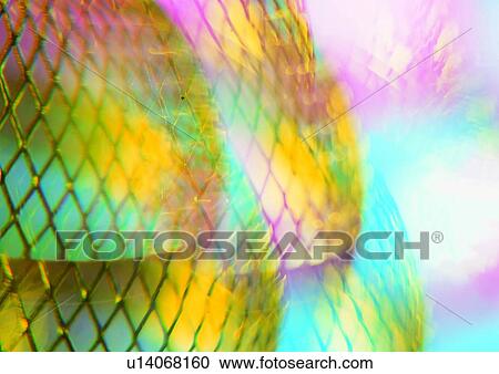 light, abstract, background, pink, yellow View Large Photo Image Stock Image - light, abstract, background, pink, yellow. Fotosearch
