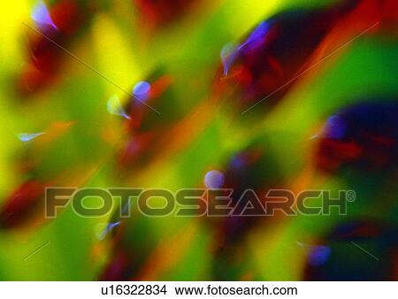 Picture - light, abstract, background, purple, green. Fotosearch