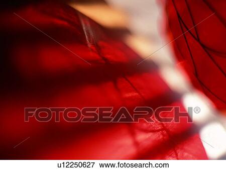 Stock Photo - light, abstract, background, red. Fotosearch