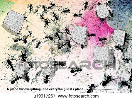 High angle view of ants carrying sugar grains View Large Photo Image Stock Photo - High angle view of ants carrying sugar grains. Fotosearch