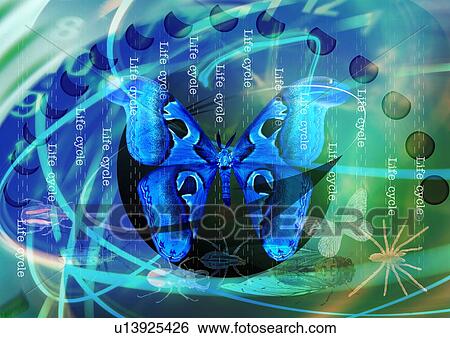 Insects superimposed on a blue and green background View Large Photo Image Stock Photograph - Insects superimposed on a blue and green background. Fotosearch