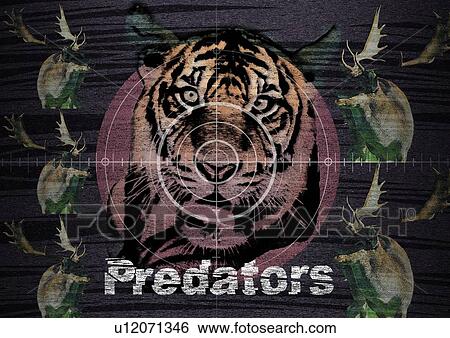 Lion head superimposed on a dark background View Large Photo Image Stock Photograph - Lion head superimposed on a dark background. Fotosearch