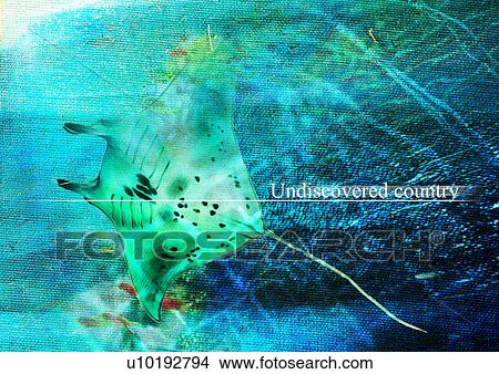 Picture - Sea life superimposed on a background of water. Fotosearch