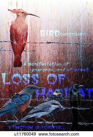 Stock Photo - Text superimposed on a background of birds. Fotosearch