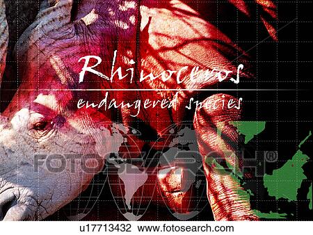 Stock Image - Text superimposed on a rhinoceros. Fotosearch