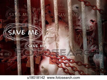 Text superimposed on wild animals in a cage View Large Photo Image Stock Image - Text superimposed on wild animals in a cage. Fotosearch
