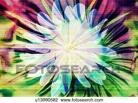 Stock Image - Close-up of a flower superimposed on a multi colored background. Fotosearch