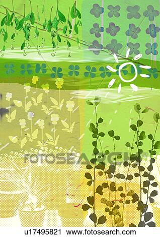 Stock Image - Close-up of leaves superimposed on a green background. Fotosearch