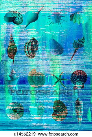 Close-up of seashells superimposed on a blue background View Large Photo Image Stock Photo - Close-up of seashells superimposed on a blue background. Fotosearch