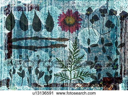 Leaves and flowers superimposed on a grey background View Large Photo Image Stock Image - Leaves and flowers superimposed on a grey background. Fotosearch