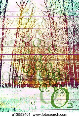 Rings superimposed on a background of trees View Large Photo Image Stock Image - Rings superimposed on a background of trees. Fotosearch