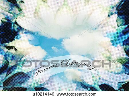 Stock Photograph - Text superimposed on the sky and flowers. Fotosearch