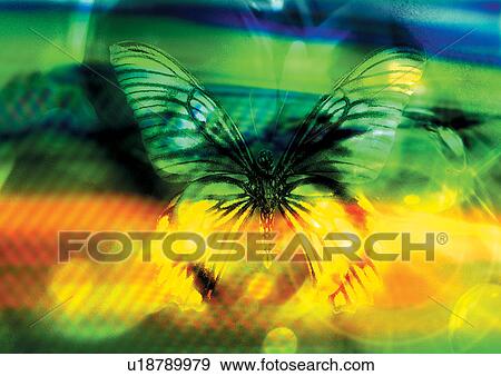 overlay, envisioning, light, imagery, form, creativity View Large Photo Image Stock Photo - overlay, envisioning, light, imagery, form, creativity. Fotosearch
