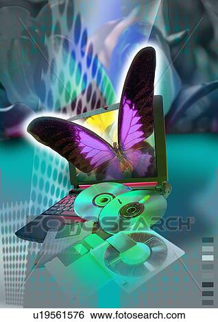 Stock Photograph - Close-up of a butterfly superimposed on CD's. Fotosearch