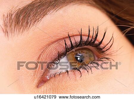 Beauty, Human Face, Part Of, Young Woman, Looking Up View Large Photo Image Stock Photo - Beauty, Human Face, Part Of, Young Woman, Looking Up. Fotosearch
