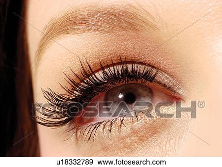 Fake eyelashes on a blue eye View Large Photo Image Stock Photo - Fake eyelashes on a blue eye. Fotosearch