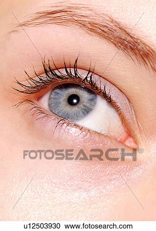 Focus, One Young Woman Only, Eyeball View Large Photo Image Stock Image - Focus, One Young Woman Only, Eyeball. Fotosearch