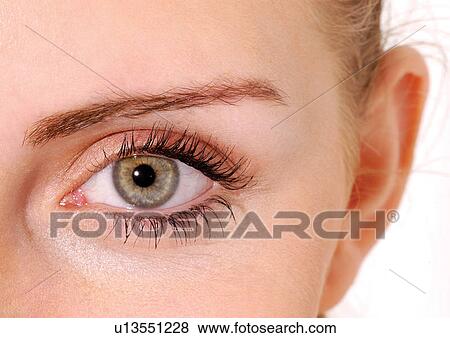 Stock Photo - Green female eye with make-up. Fotosearch