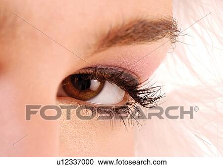 Looking At Camera, Focus, Close-up, Eyeball, Identify, One Person, Young Woman View Large Photo Image Stock Image - Looking At Camera, Focus, Close-up, Eyeball, Identify, One Person, Young Woman. Fotosearch
